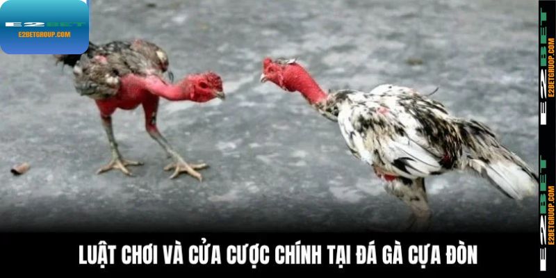 Luật chơi và cửa cược chính tại đá gà cựa đòn