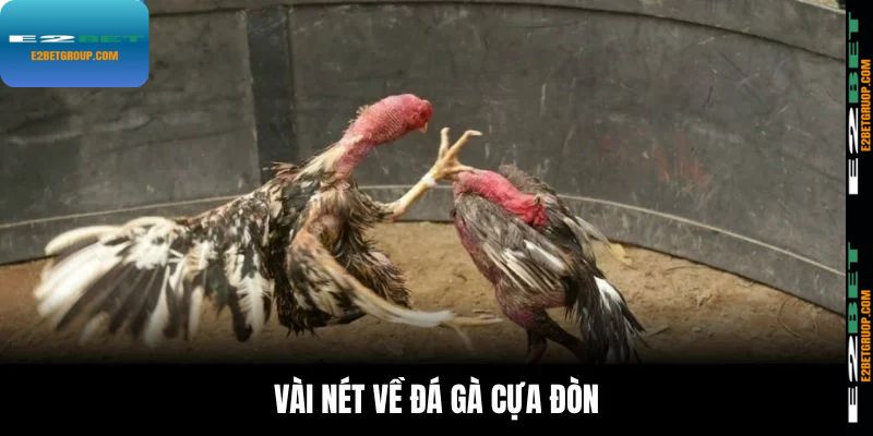 Vài nét về đá gà cựa đòn