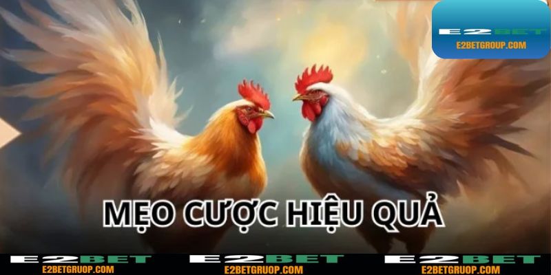 Vận dụng một vài mẹo cược hiệu quả để giành chiến thắng