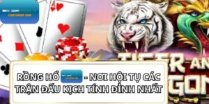 Rồng Hổ – Siêu Phẩm Game Tốc Độ, Đỉnh Cho Cao Thủ Tại E2BET